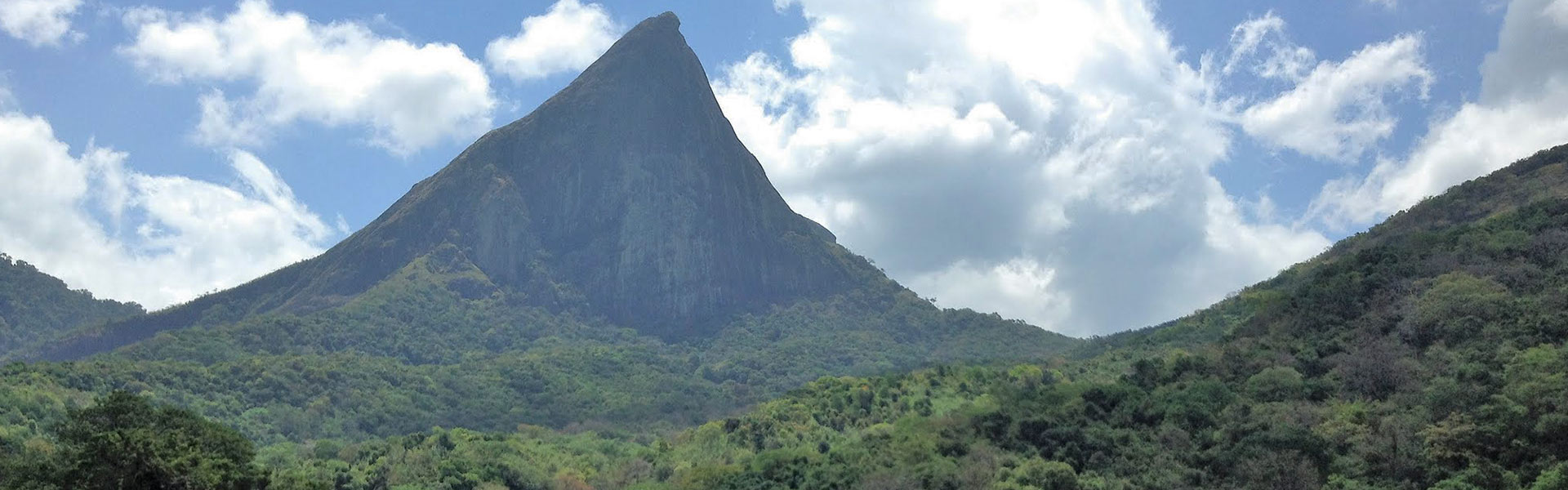Knuckles Mountain Range Hikes