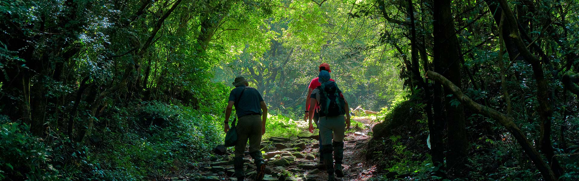 Knuckles Mountain Range Hikes: Trails & Tips