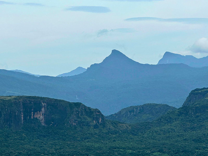 Knuckles Mountain Range Hikes: Trails & Tips