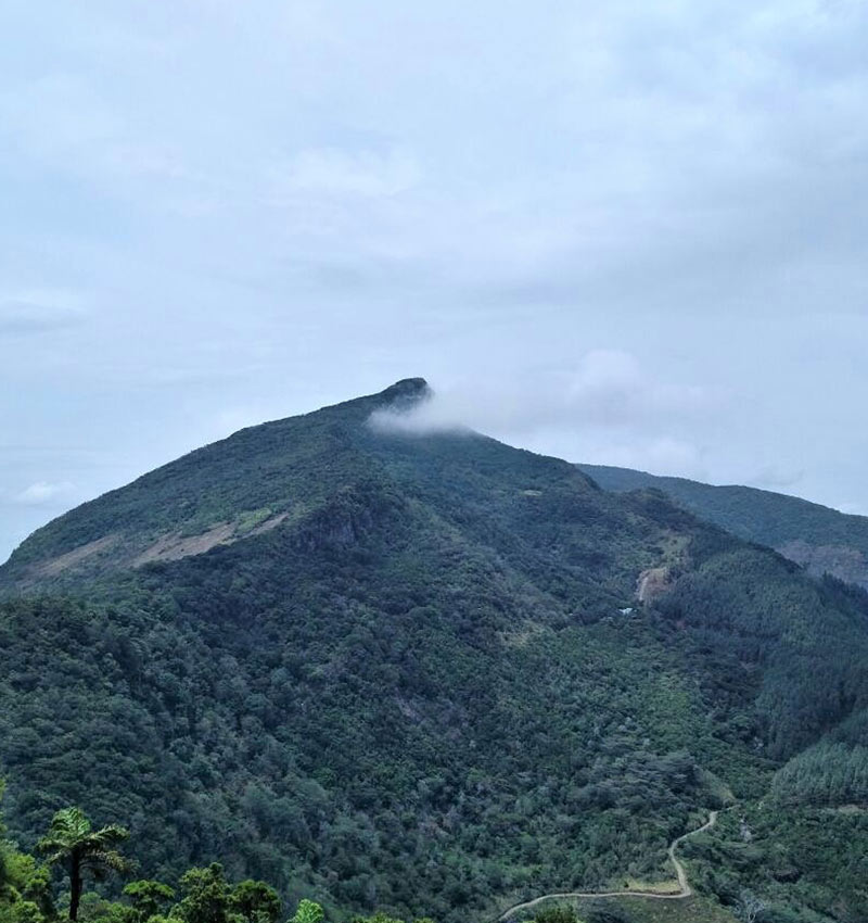 Dumbanagala Peak Hike