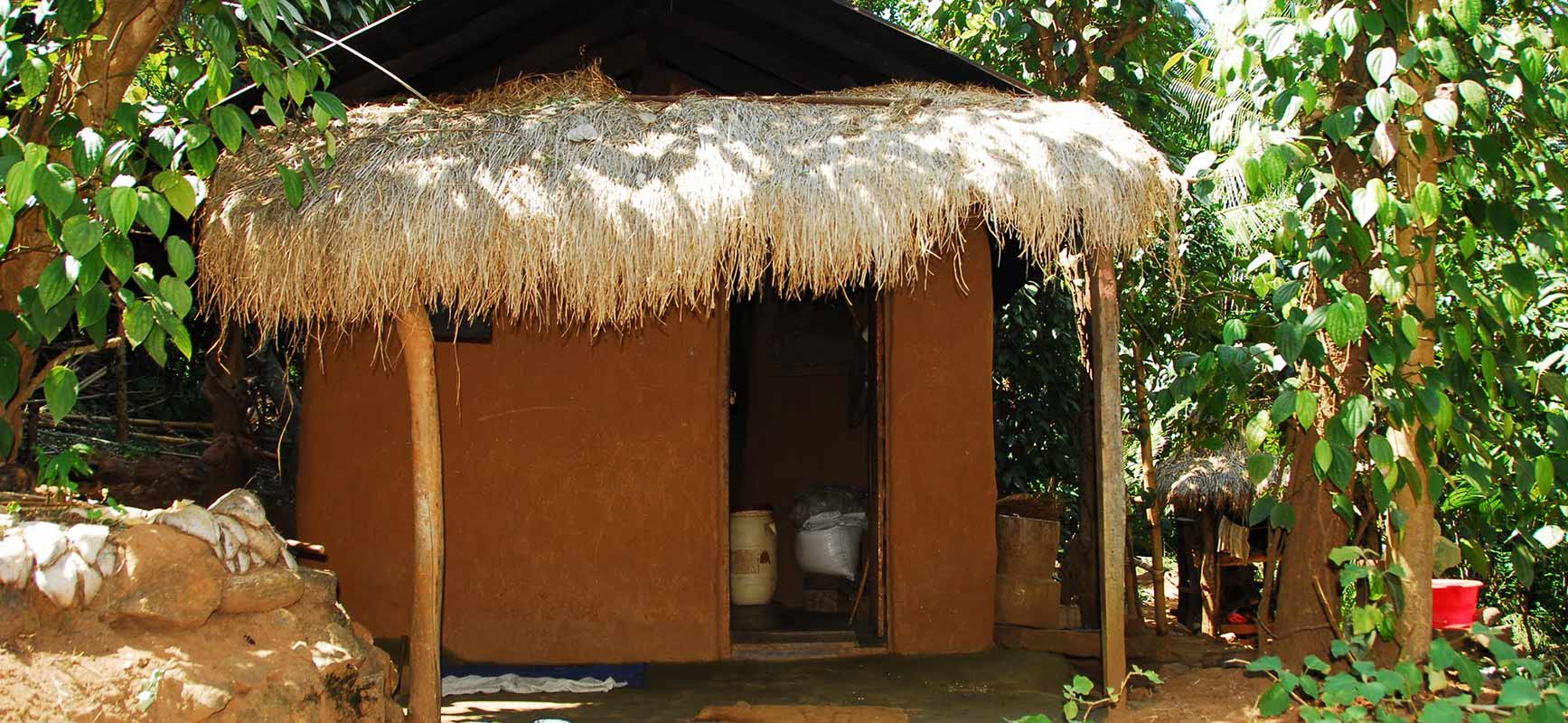 Village Experience