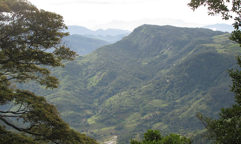Beautiful mountain view