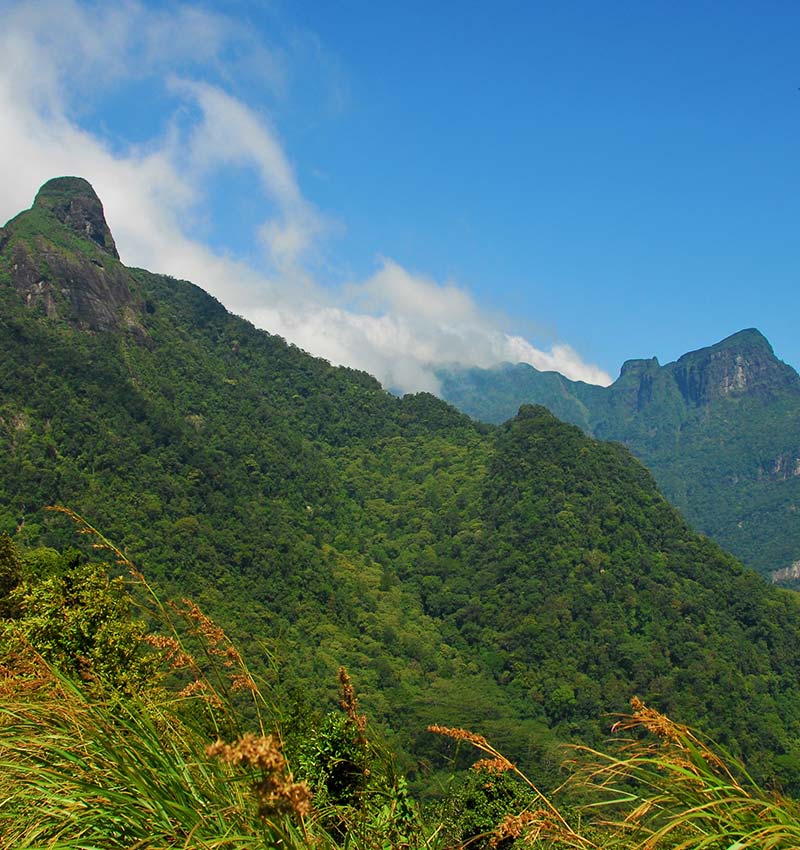 Corbett’s Gap – Thungappuwa Hike